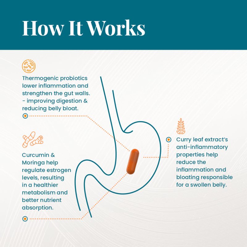 6.HowProvitalizeworks