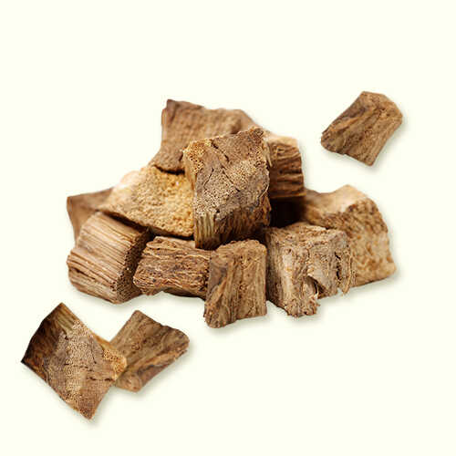 Astragalus Root