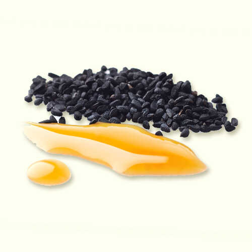 Black Seed Oil