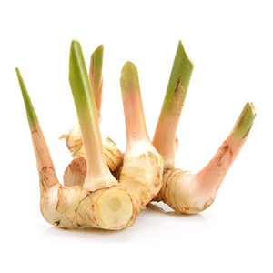 Galangal