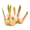 Galangal small