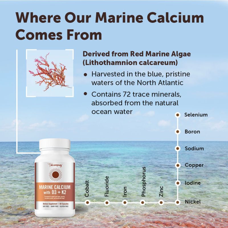 Marine Calcium feature image 2