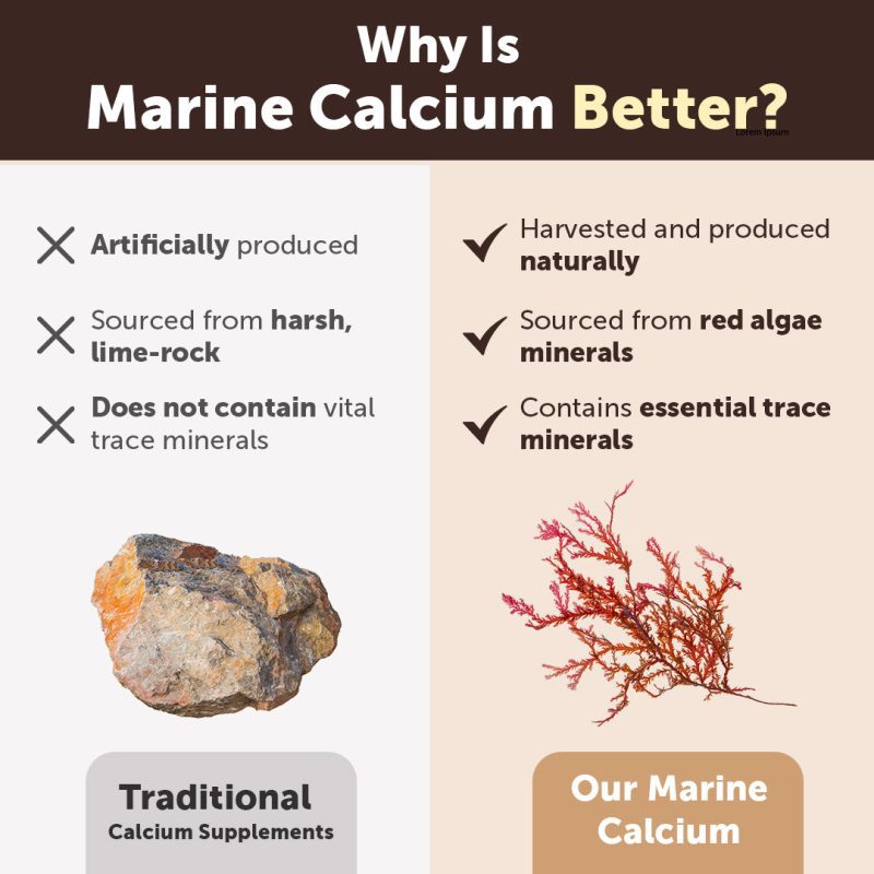 Marine Calcium feature image 3