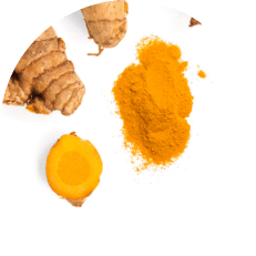 Turmeric         Root Extract