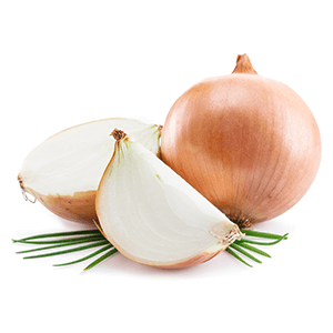 galacto oligosaccharides onion